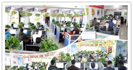 西南領先的一站式數字服務 重慶四模建站、全網推廣與軟件開發解決方案