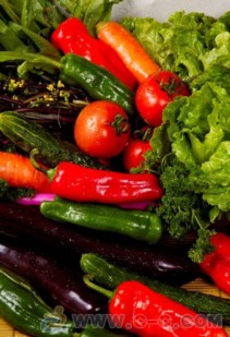 珠海市斗門區食材配送與餐飲管理一站式解決方案